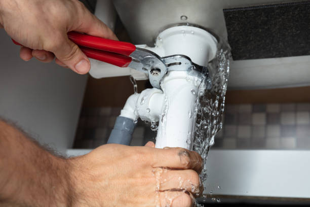 Best Water damage restoration specialists  in Piperton, TN