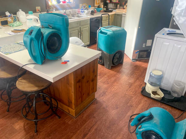 Best Water damage contractors near me  in Piperton, TN