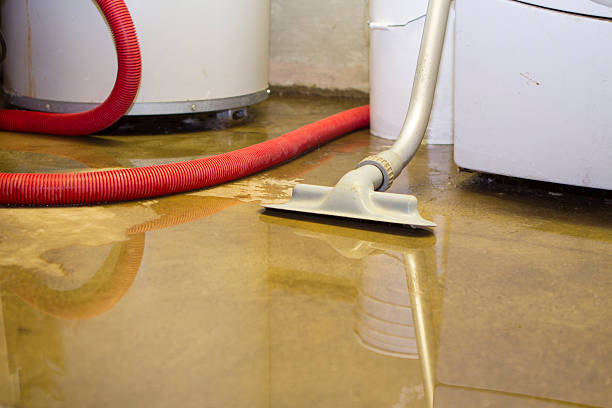 Best Ceiling water damage repair  in Piperton, TN