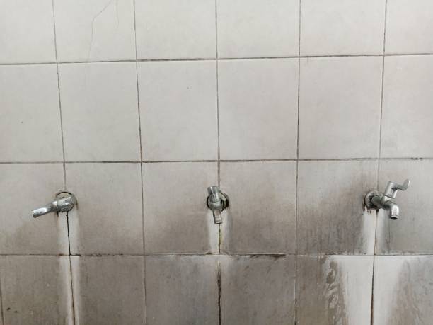 Best Commercial water damage restoration  in Piperton, TN