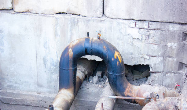 Best Carpet water damage restoration  in Piperton, TN