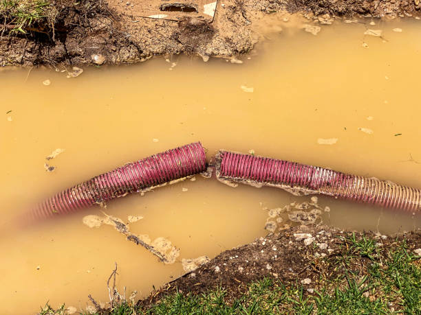 Best Water damage mitigation services  in Piperton, TN