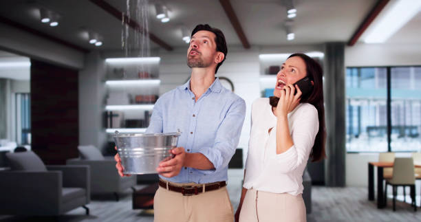 Best Professional water damage repair  in Piperton, TN