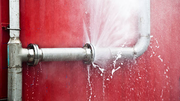 Best Local water damage restoration  in Piperton, TN